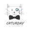 Cute cat vector.T-shirt Print.Love cards.Valentine`s Day.animal print.