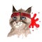 Cute cat wearing bright red bandana