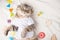 Cute cat in a white T-shirt with children`s toys. Sweet kitten, banner for design