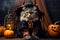 Cute cat in wizard costume on Halloween, pet on festive background