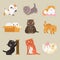 Cute cats. Cartoon funny tabby kittens playing with ball, sitting and relax. Adorable cat pets hand drawing characters