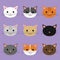 Cute cats heads illustration. Cartoon character.