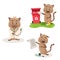 Cute cats in professions flat illustration on white isolated background.