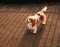 Cute Cavalier King Charles Spaniel standing looking up with the sun behind him casting a striped shade from the fence behind