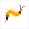 Cute Centipede animal cartoon character vector.