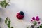 Cute ceramic ladybird insect