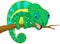 Cute chameleon cartoon