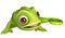 Cute Chameleon funny cartoon character