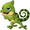 Cute chameleon lizard cartoon pointing