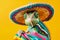 a cute chameleon portrait dressed in mexican sombrero hat and clothing. Cinco de Mayo celebration