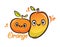 Cute Character Design Mango & Orange