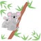 Cute character mother koala and baby in cartoon style with eucalyptus and space for your text.