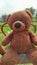 cute and charming brown teddy bear