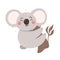 Cute and cheerful koala on the tree. Cute animals, children`s print, vector.