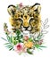 Cute cheetah cub. wild animals watercolor illustration