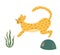 Cute cheetah print. Running cheetah isolated animal. Wild cat illustration. Graphic safari big jungle cat