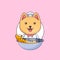 Cute chef cat cooking street food use frying pan animal mascot cartoon vector illustration