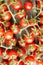 Cute cherry tomatoes on wooden background