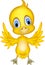 Cute chick cartoon