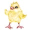 Cute chick. Watercolor illustration on a white background. Easter card, poster for the nursery.