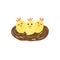 Cute chickens in nest vector illustration
