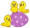 Cute chickens topic image 6