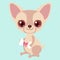 Cute chihuahua with a bone gift. Funny sticker for a gift. Character for birthday or valentine`s day.