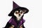 Cute chihuahua dog in a witch\\\'s Halloween costume on white background. Fun creative image with copy space for banner design