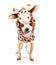 A cute chihuahua in a giraffe costume