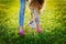 Cute chihuahua puppy dog with young glamour girl walking on green lawn on the sunset, fashion street style