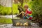 Cute child, boy in colorful jacket, playing with boat and ducks on a little river, sailing and boating. Kid having fun, childhood