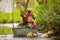 Cute child, boy in colorful jacket, playing with boat and ducks on a little river, sailing and boating. Kid having fun, childhood