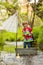 Cute child, boy in colorful jacket, playing with boat and ducks on a little river, sailing and boating. Kid having fun, childhood