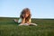 Cute child boy reading book outdoor on green grass field. Smart child reading book, laying on grass summer park on sky