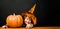 Cute child boy in witch hat with pumpkin for Thanksgiving day cooking or Halloween preparation. Autumn recipes