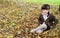 Cute child girl sitting on carpet of autumn leaves