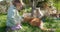 Cute child girl sitting on lawn and feeding cats in spring backyard garden