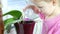 Cute child girl is watering a houseplant after planting it in new pot at home