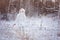 Cute child girl in white outfit on the walk in winter frozen forest