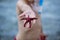 Cute child, holding red starfish on the beach