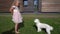 Cute child in pink dress feeding white Bichon dog pet in house yard. Gimbal shot