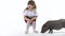 Cute child is playing with little black piggy mini pig at white background. Kids emotion. Slow motion