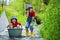 Cute children, boys, playing with boat and ducks on a little riv