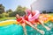 Cute children enjoying summertime in outdoor pool