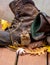 Cute chipmunk poses with work boots