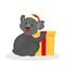 Cute christmas animal koala with furry Santa hat