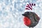 Cute Christmas Bird in Winter Wonderland. Christmas background.