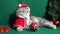 A cute Christmas cat. Christmas and New Year celebration concept