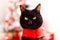 Cute christmas cat with christmas tree and presents. Adorable greeting card. Happy New Year