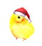 Cute christmas chick in red santa\'s hat. Watercolor bird